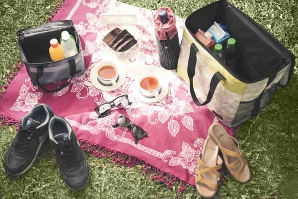 XSProject canteen with picnic box on rug